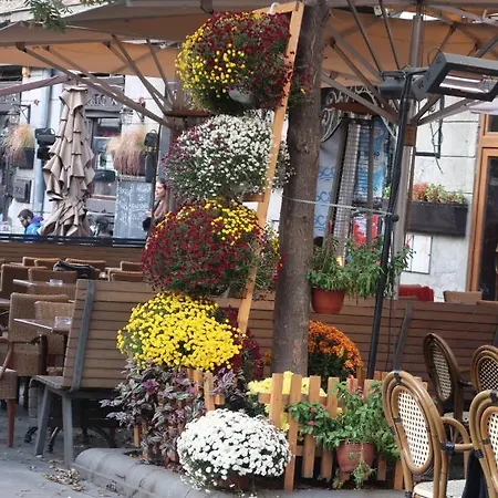 Apartament Belle - Obilicev Venac *