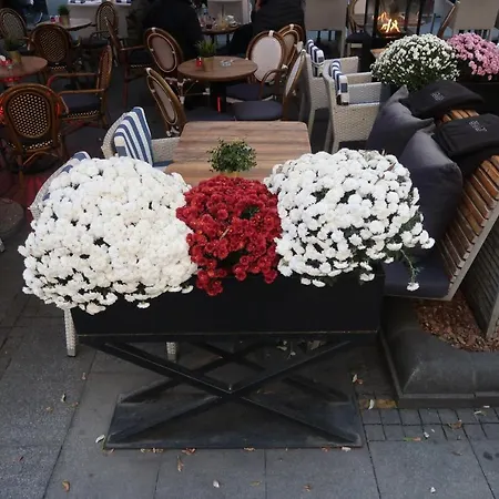 Belle - Obilicev Venac * Belgrad