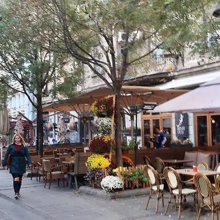 Belle - Obilicev Venac