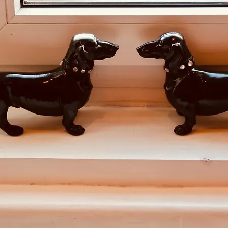 Belle - Obilicev Venac Belgrad