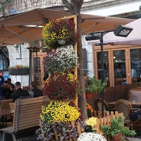 Belle - Obilicev Venac Apartament *